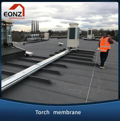 Sheet Membrane